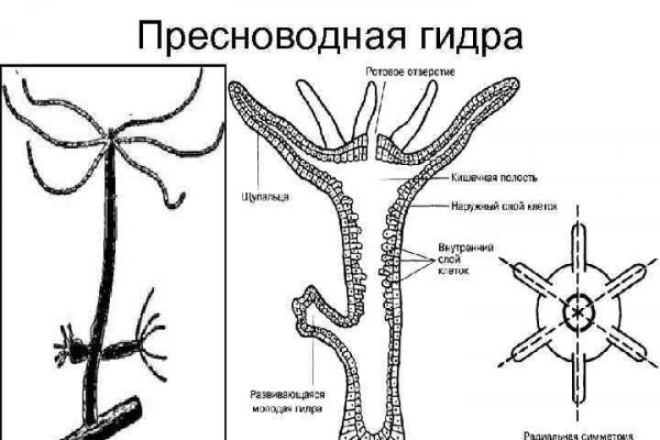 Mega market ссылка