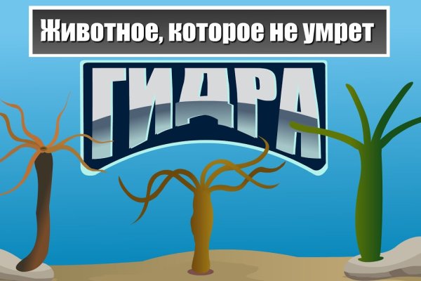 Ссылка на кракен kr2web in