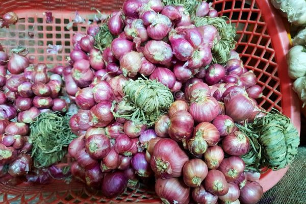 Сайт кракен рабочая ссылка