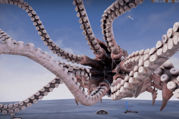 Kraken 18