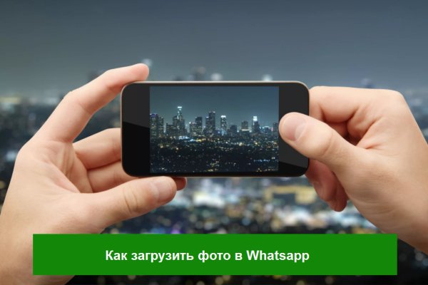 Покупки на кракене даркнет