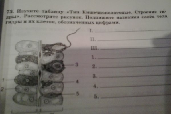Kraken россия