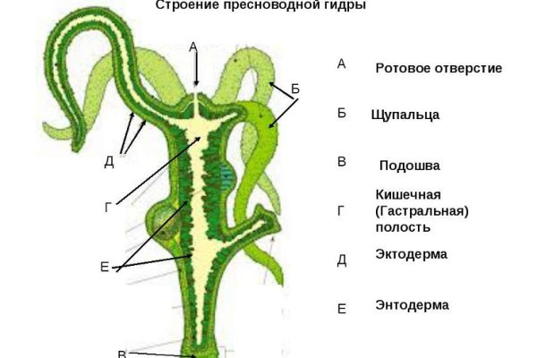 Войти в кракен