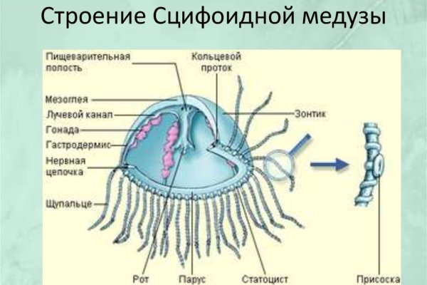 Kraken сайт зеркала